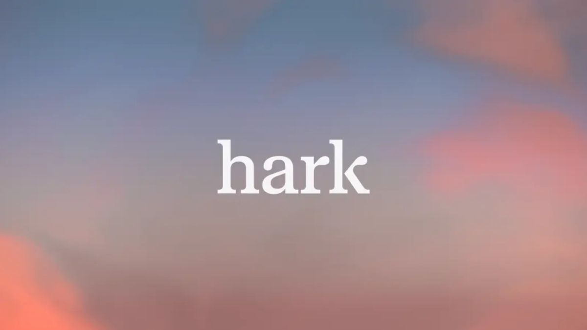 White Hark wordmark on a blurred blue and pink background